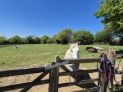 Four Seasons Barn North Devon Holiday Cottage Four Seasons Barn