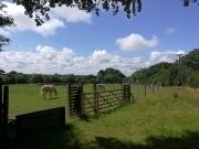 North Devon Holiday Cottage Dog secure exercise paddock on request